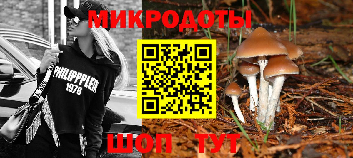 Псилоцибиновые грибы прущие грибы Кандалакша